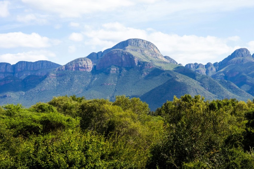 a mountain range with trees and bushes in the foreground