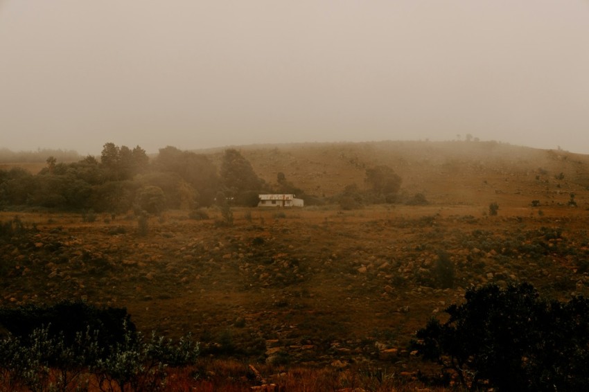 a foggy field with a house in the distance