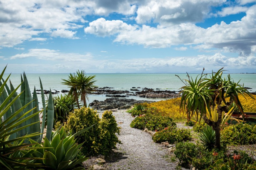 green palm trees near sea under blue sky during daytime