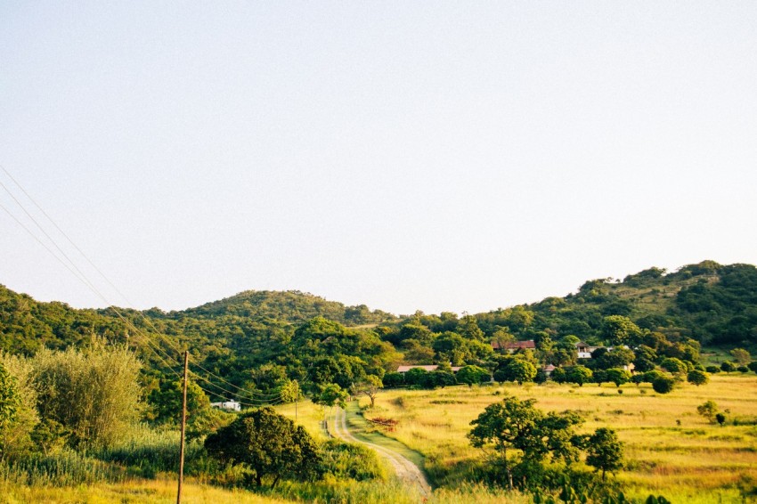 a dirt road going through a lush green field