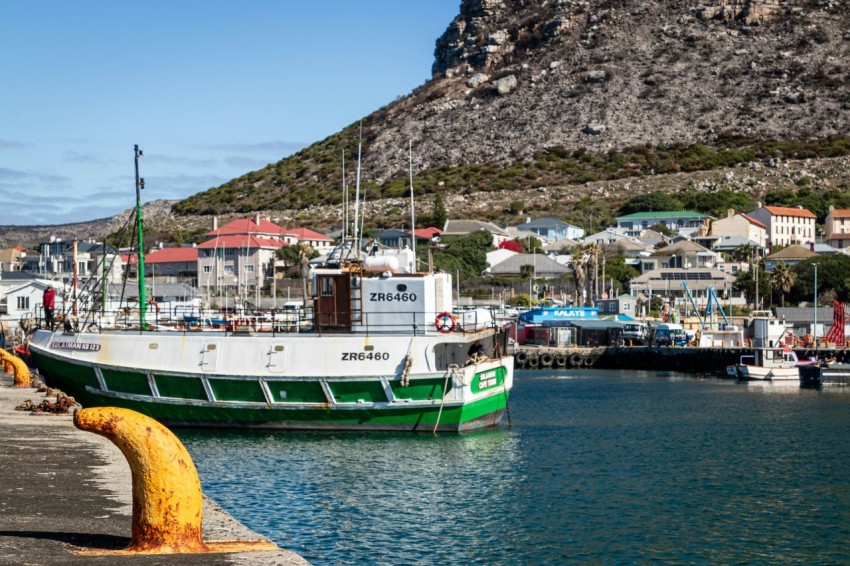 a green and white boat docked in a harbor