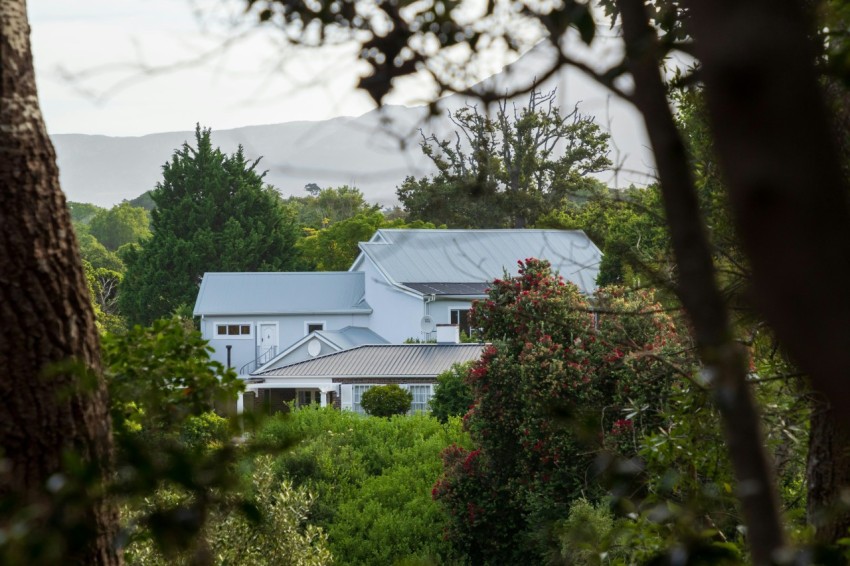 a large white house surrounded by trees and bushes l