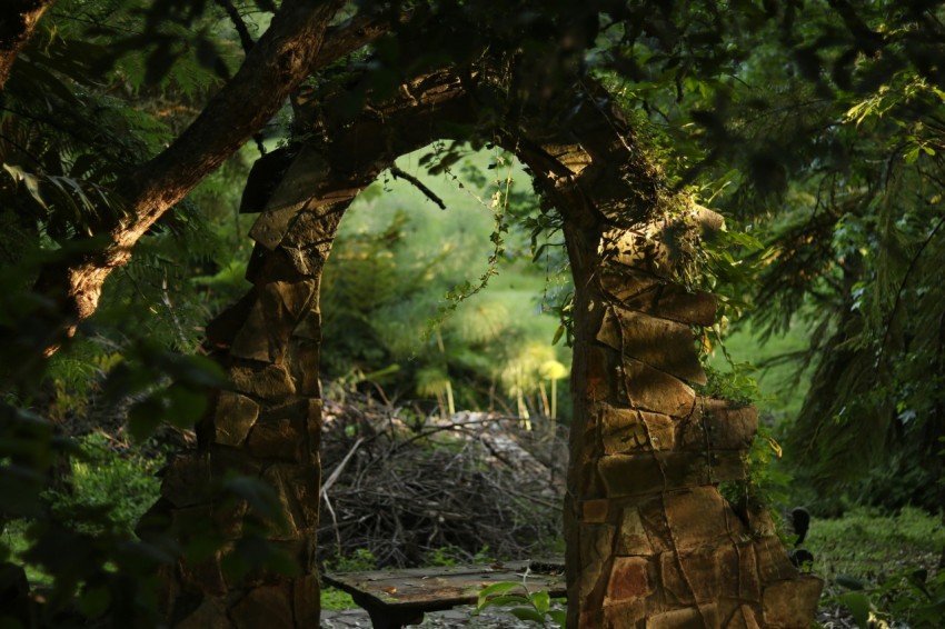 arch shape gate in forest