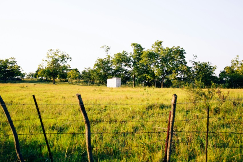 a grassy field with a fence and trees in the background cFNdZAh