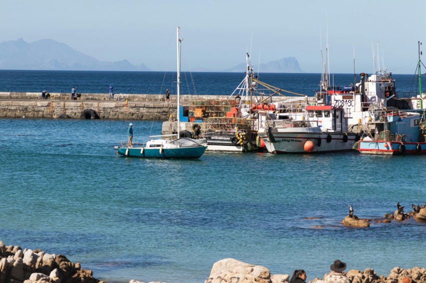 a group of boats that are sitting in the water