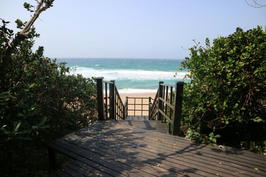 brown wooden dock near body of water during daytime