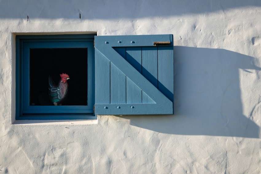 a bird is sitting in a window of a house