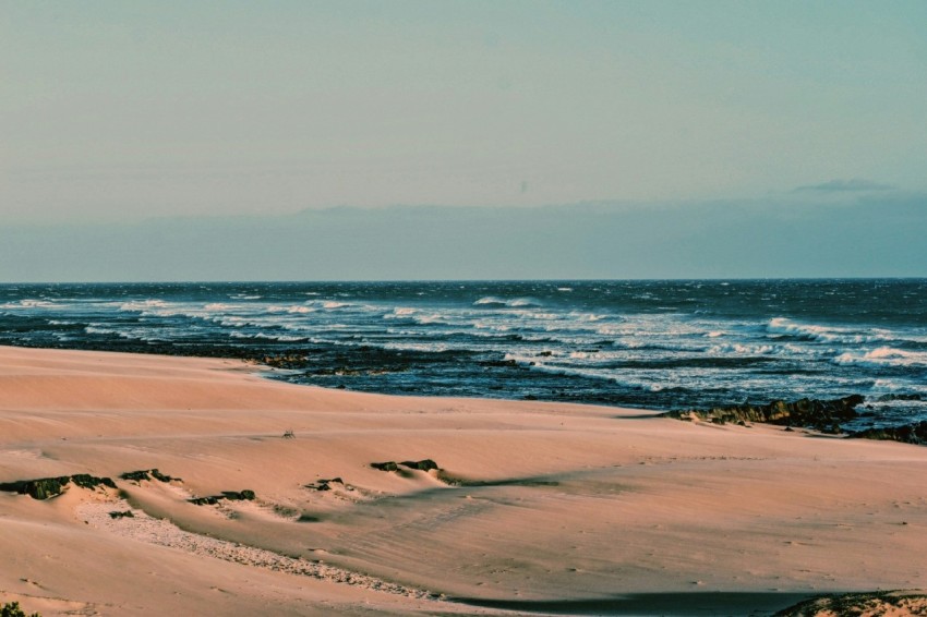 brown sand beach during daytime