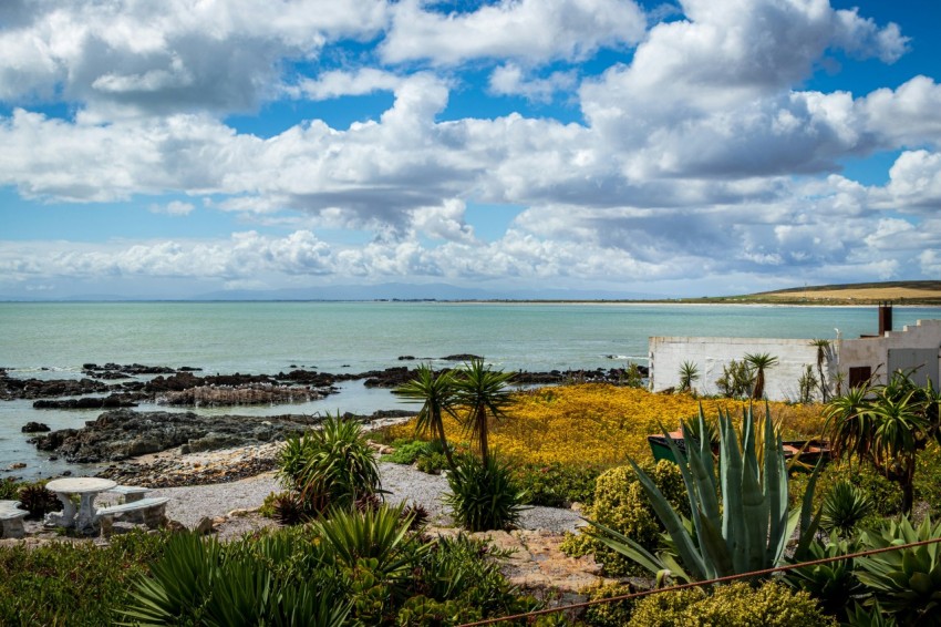 green grass near body of water under white clouds and blue sky during daytime