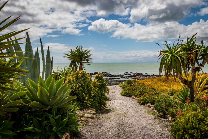 green palm trees on beach shore under blue and white sunny cloudy sky during daytime