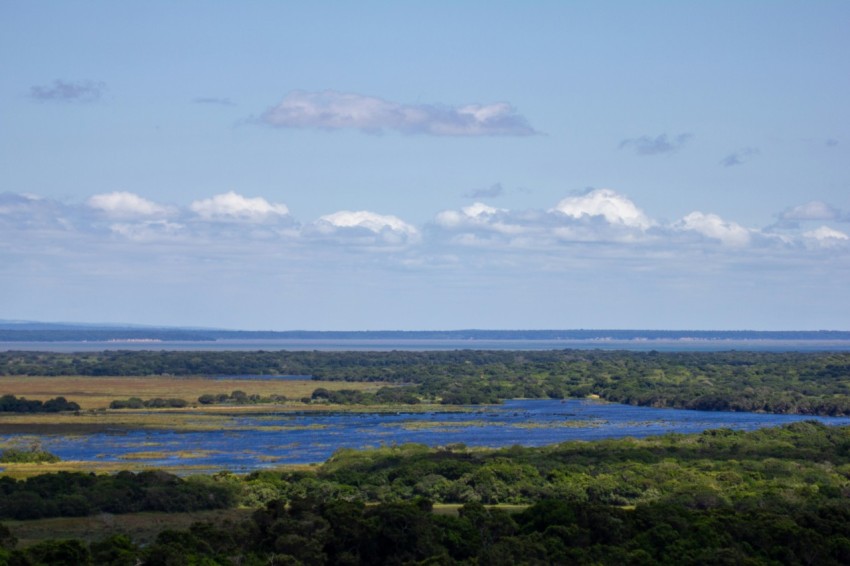 a large body of water surrounded by lush green trees