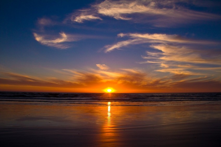 landscape photography of seashore during sunset