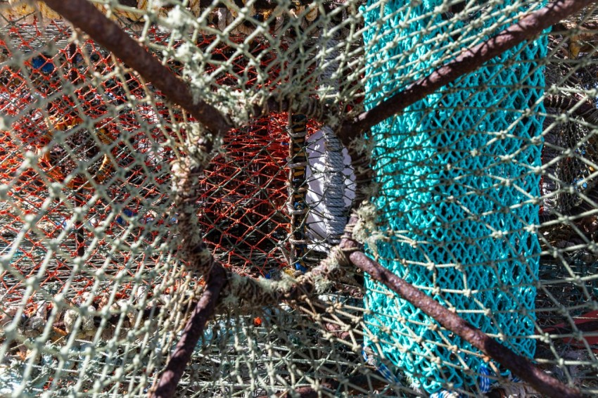 a pile of colorful fishing nets sitting on top of a beach oqnixC9