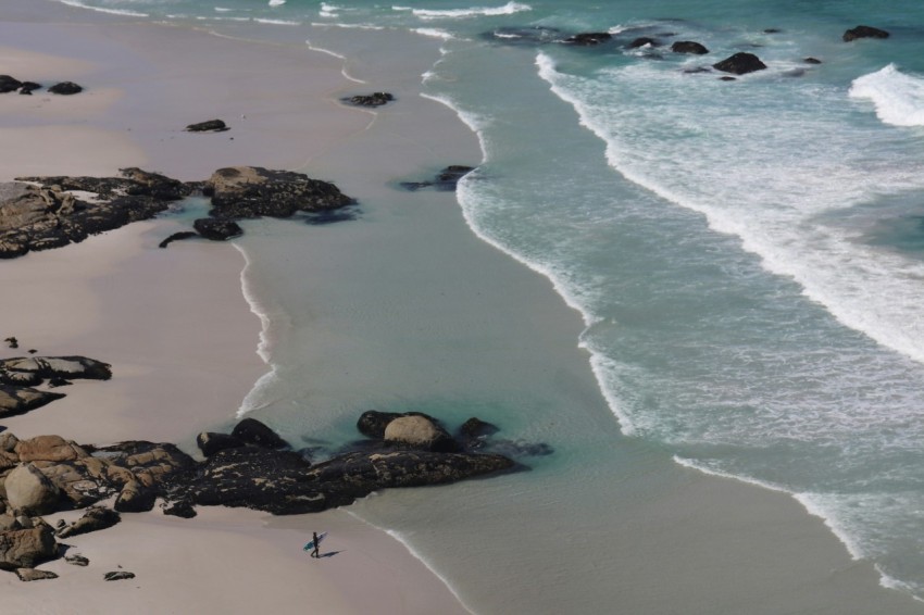 aerial view of people on beach during daytime u _u0j