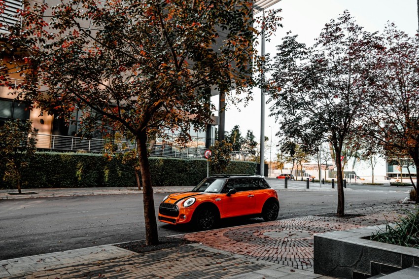 orange car parked near trees during daytime