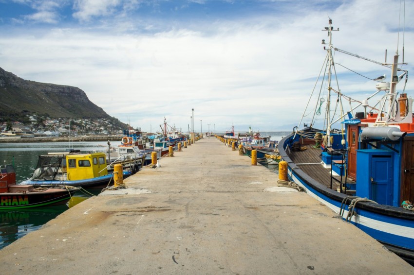 blue and yellow boat on sea dock during daytime