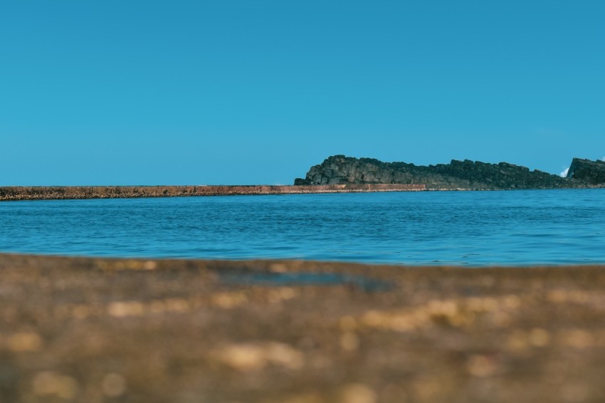 blue sea near green trees under blue sky during daytime