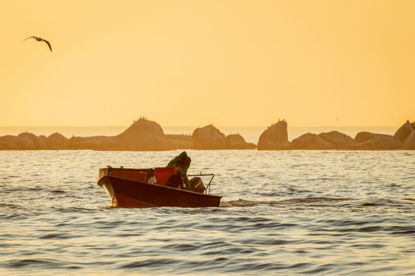 a person in a small boat in the water