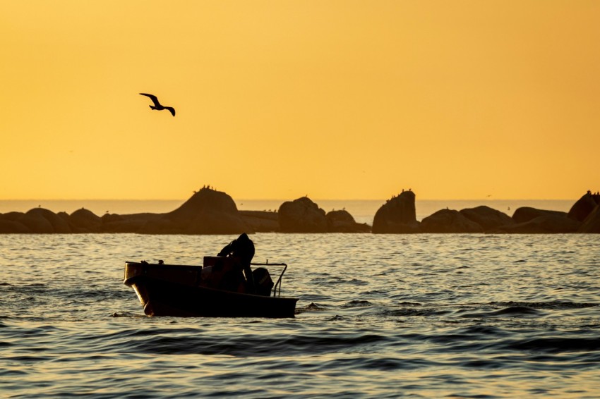 a person in a small boat in the water