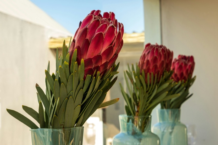 a couple of vases that have flowers in them