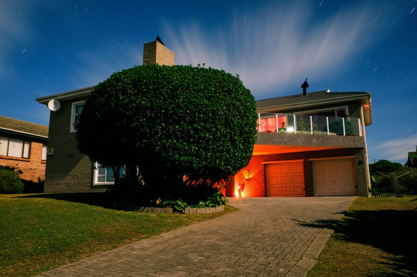 leafed tree near 2 story house