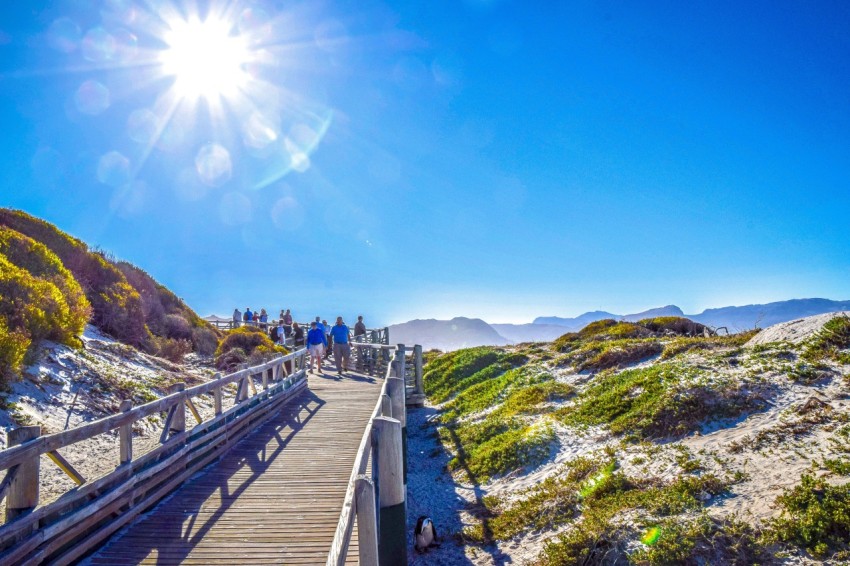 a group of people walking across a wooden bridge cp