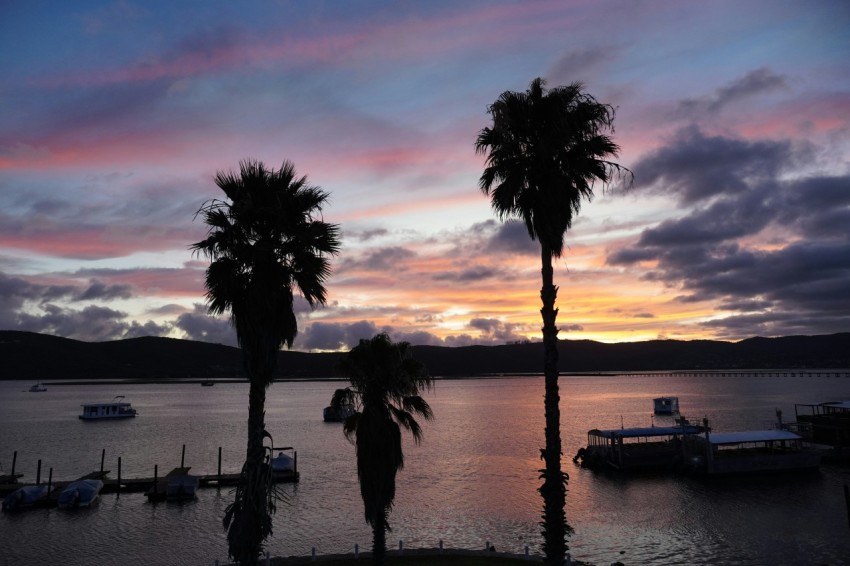 palm trees are silhouetted against a colorful sunset axY0l576r