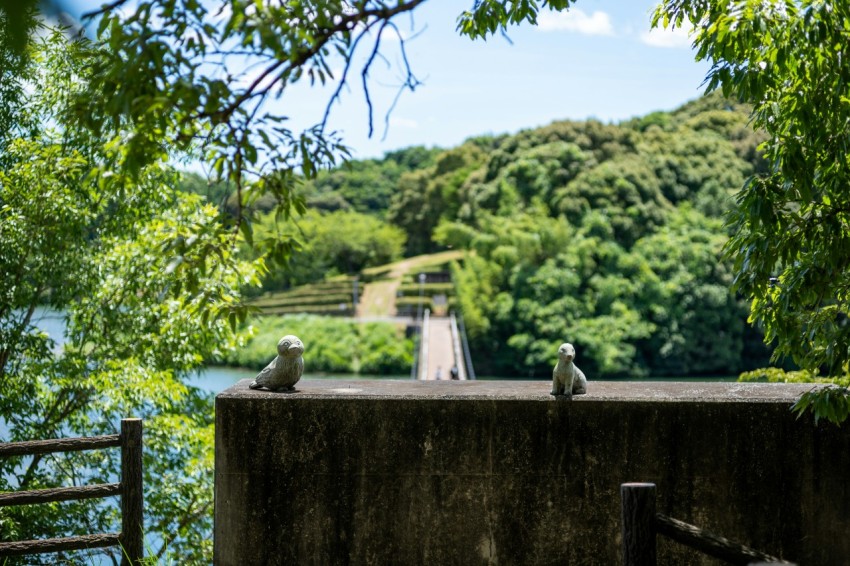 a couple of birds sitting on top of a cement wall