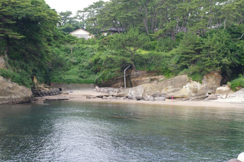 a body of water surrounded by trees and rocks