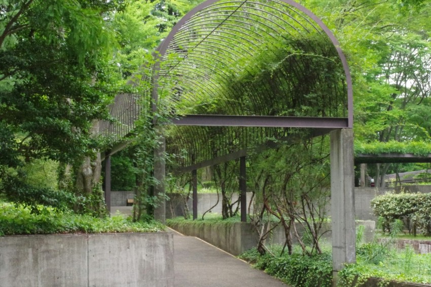 a walkway in a park with trees and bushes