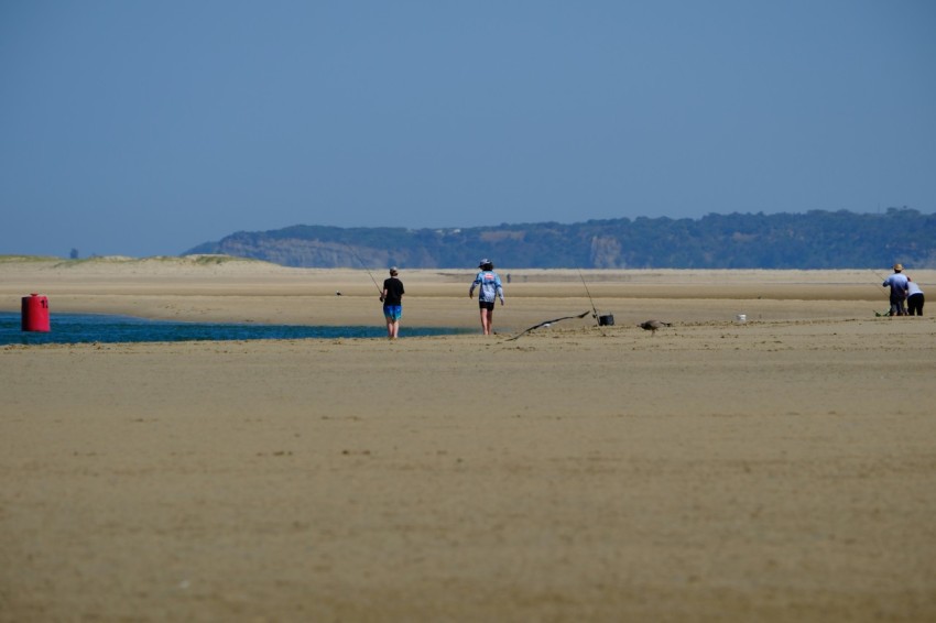 a group of people standing on top of a sandy beach