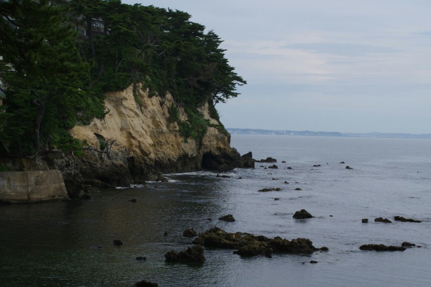 a body of water surrounded by trees and rocks