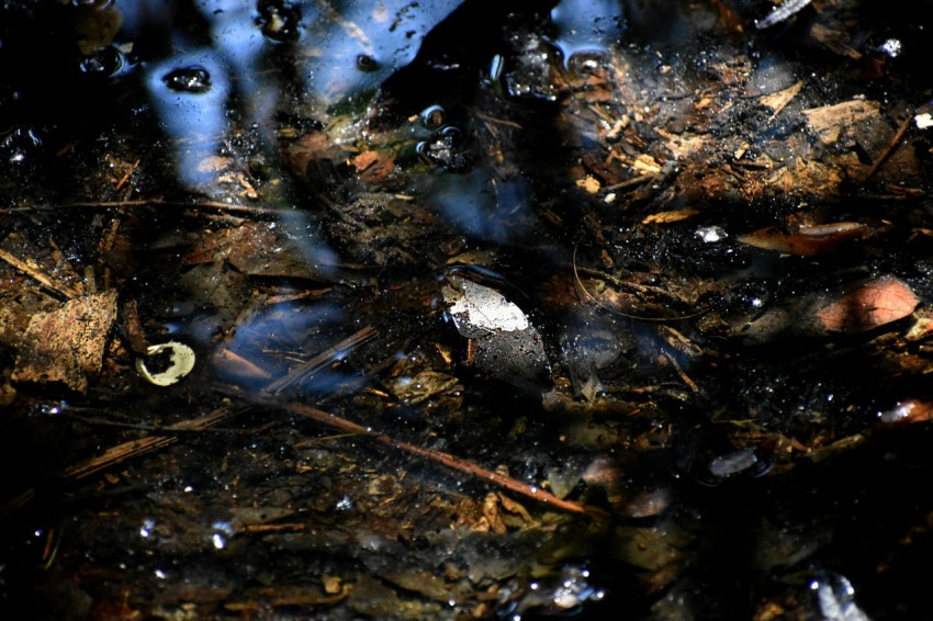 a puddle of water with a blue sky in the background