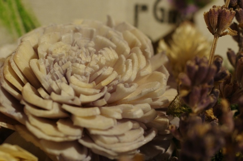 a close up of a flower on a table