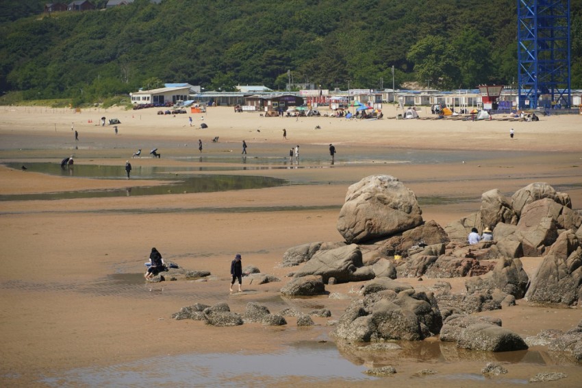 a group of people standing on top of a sandy beach