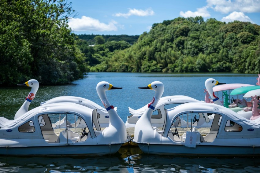 a group of swan boats floating on top of a lake