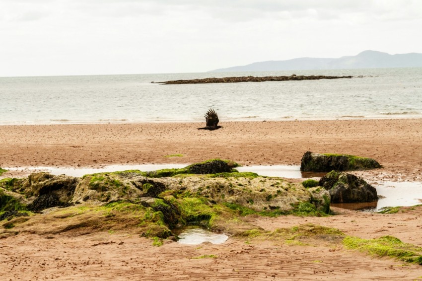 a person sitting on a rock on a beach