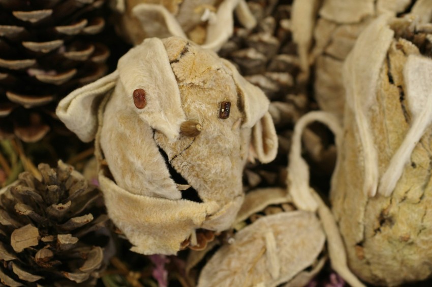 a teddy bear that is sitting in a pile of pine cones