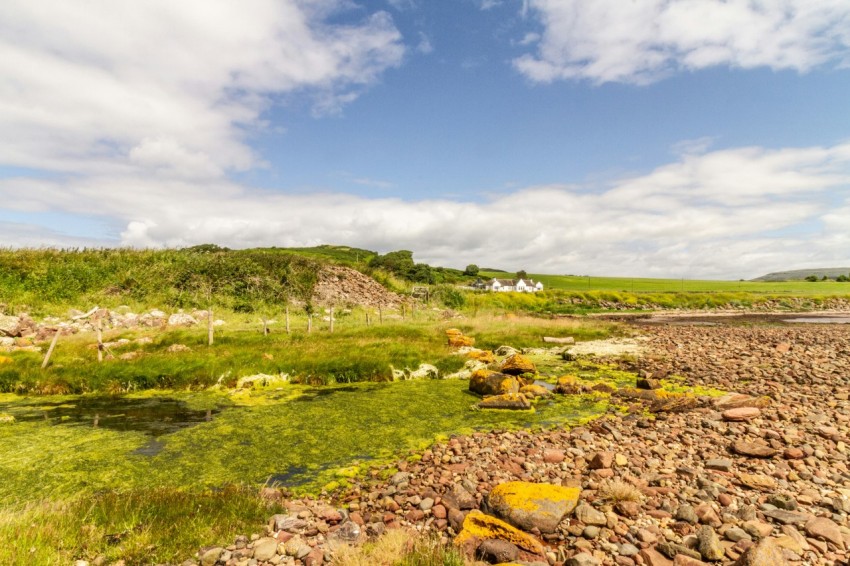 a rocky shore with grass and rocks in the foreground