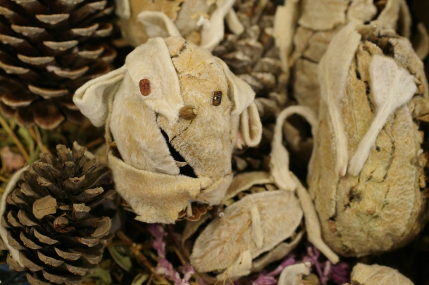 a pile of stuffed animals sitting next to a pile of pine cones