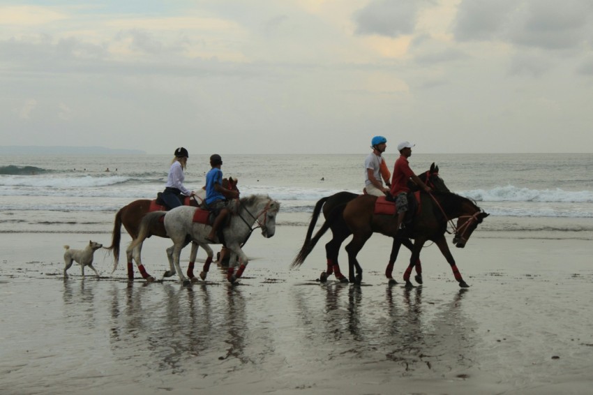 a group of people riding horses on a beach