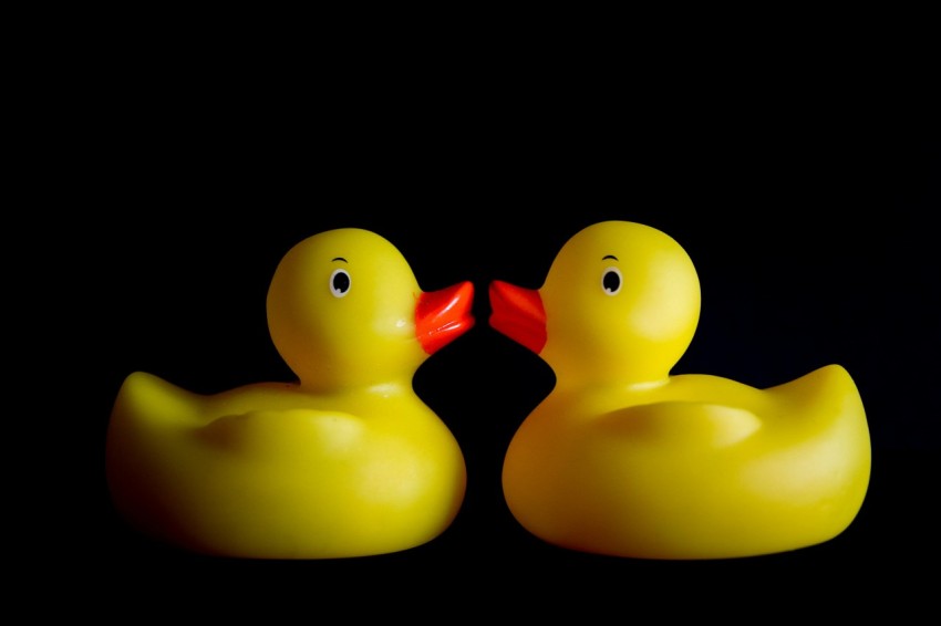 two yellow rubber ducks sitting next to each other 0 l8SYki