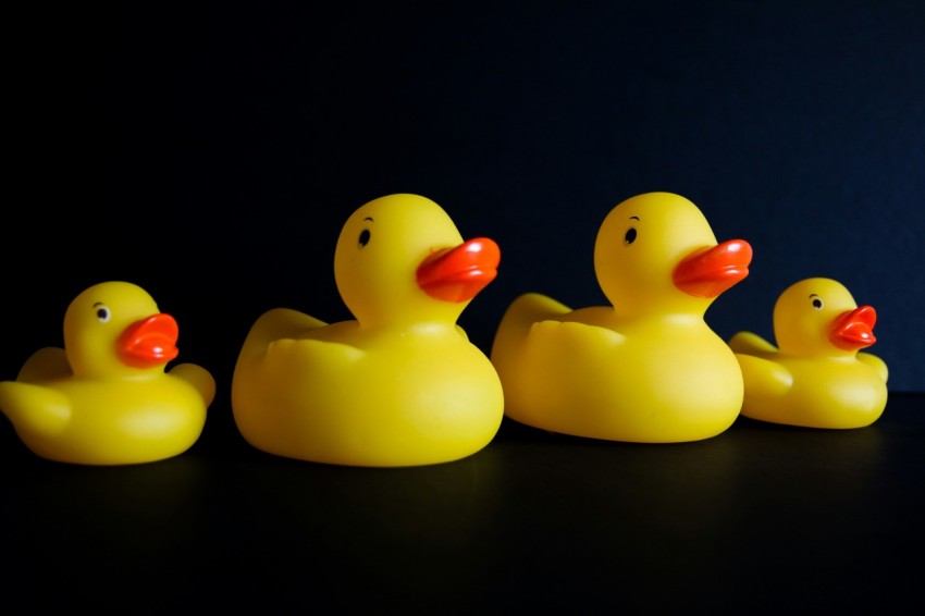 a row of rubber ducks sitting next to each other lGhn8Y kW