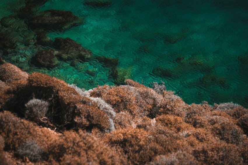 an aerial view of the ocean with a boat in the water 7mRL au