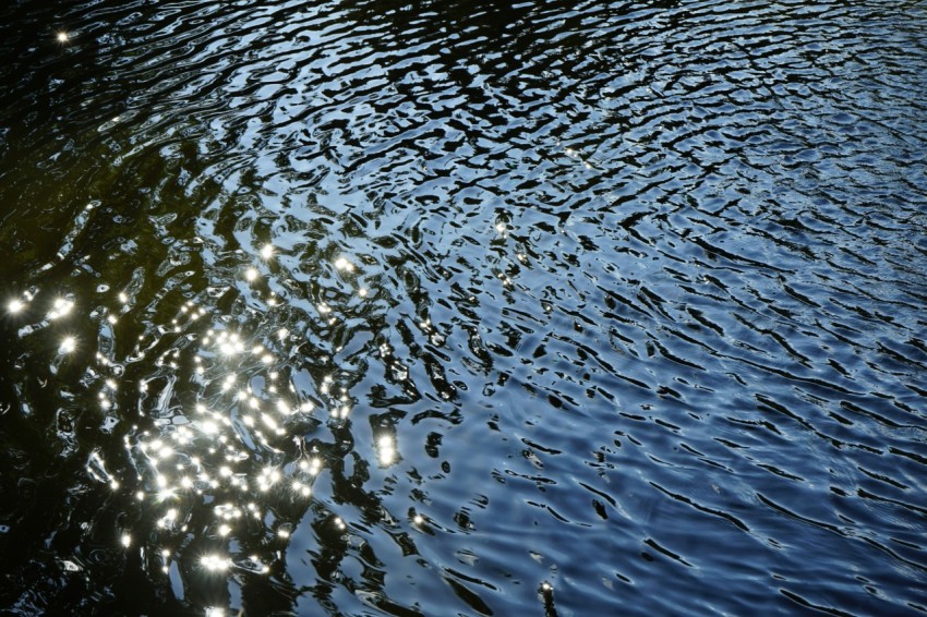 the sun shines brightly on the surface of the water