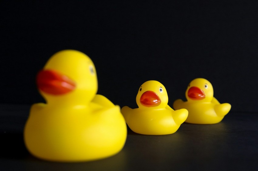 a group of yellow rubber ducks sitting next to each other