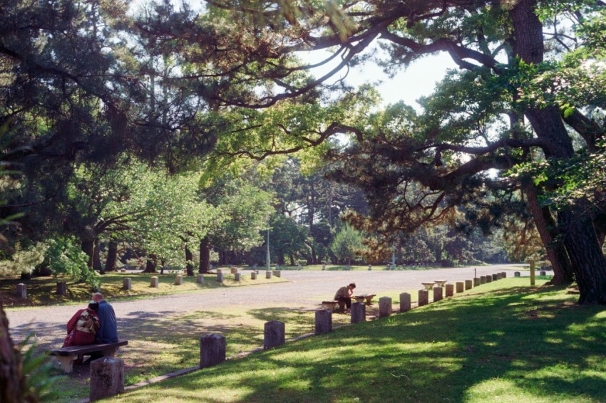 a man sitting on a bench in a park