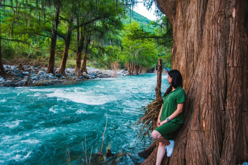 a woman sitting on a tree next to a river