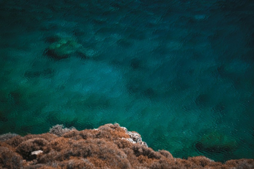 an aerial view of a body of water