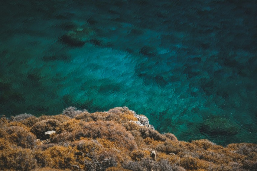 an aerial view of a body of water